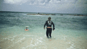 Diving GIF by FOX TV