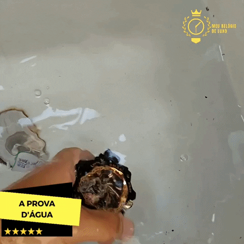 MeuRelogiodeLuxo giphygifmaker GIF