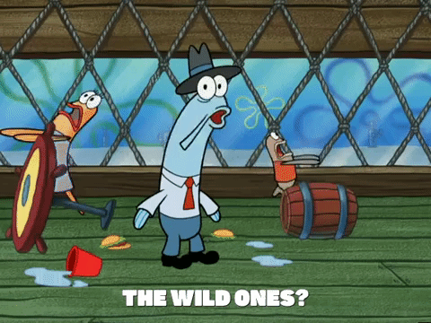 season 4 GIF by SpongeBob SquarePants