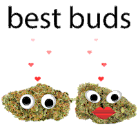 weed love STICKER by Hi-Art