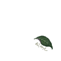 thewokestudio alone growth solo pun Sticker