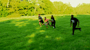 Married At First Sight Lol GIF by Lifetime