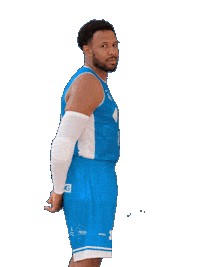 Cbsa Sticker by Basquet Sant Antoni