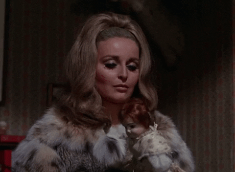 furglamor giphyupload fur glare fur coat GIF