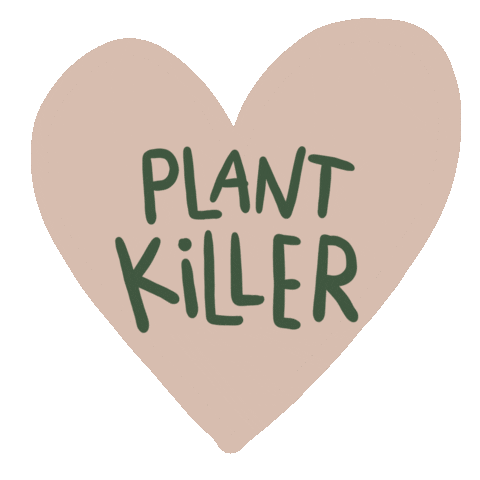 Flowers Plant Sticker by Plante Budapest