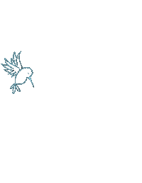 Birdies Sticker by Birdie's Brew
