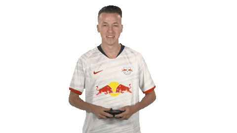 Ea Sports Fifa Sticker by Bundesliga