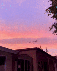 Beer Hello GIF by NOSAM