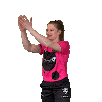 Clap Applaud Sticker by Somerset County Cricket Club