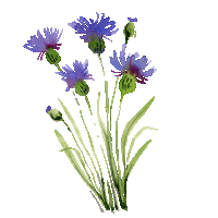 Flower Sticker by compo