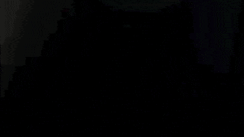 Tv Show Fox GIF by ScreamQueens