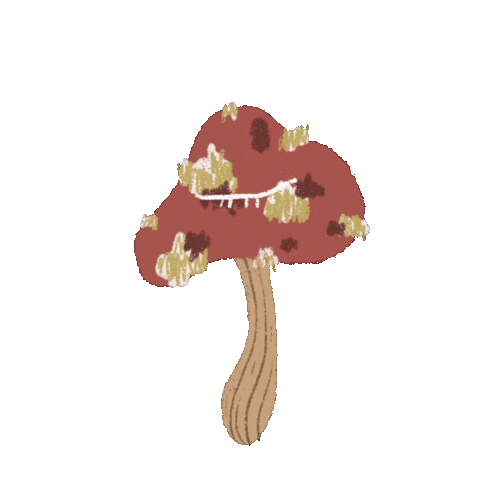 Otomekko giphyupload mushroom otomekko mushroomcat Sticker