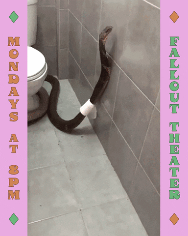 carloslarotta giphyupload GIF