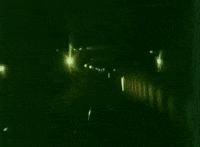 echo party GIF