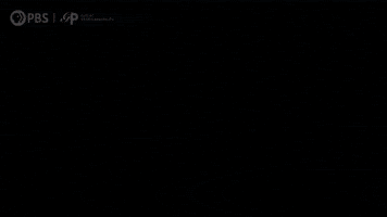 Public Tv Art GIF by GREAT PERFORMANCES | PBS