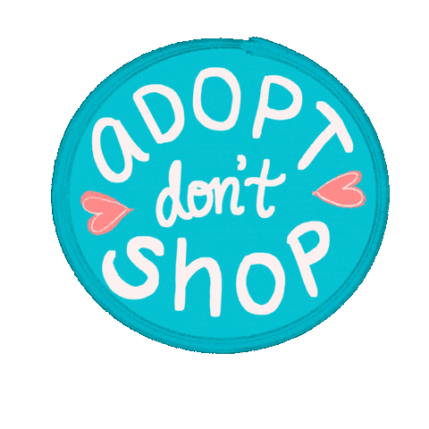 CoppersDreamRescue giphyupload rescue adopt adopt dont shop Sticker