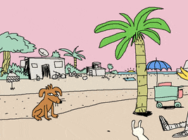 GIF by Julian Gallese