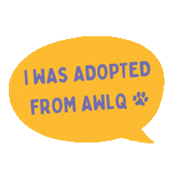 awlqld adopt dont shop awl adopted dog adopted cat Sticker