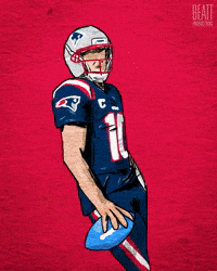 New England Patriots Football GIF