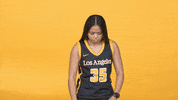 Division Ii Sport GIF by Cal State LA Golden Eagles