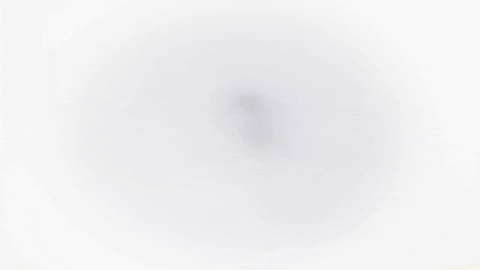 on the square GIF by Mac DeMarco