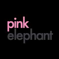pinkelephantnz pinkelephantnz GIF