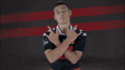 Western Sydney Wanderers Celebration GIF by wswanderersfc