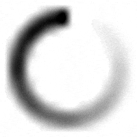 poleapolea giphyupload GIF
