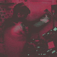njorg GIF by The Lot Radio