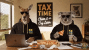 Tax Season GIF