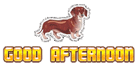 good afternoon STICKER