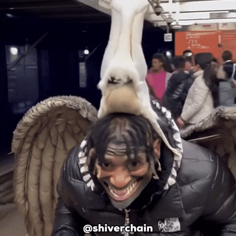 Laugh Grinning GIF