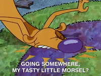 nicksplat GIF