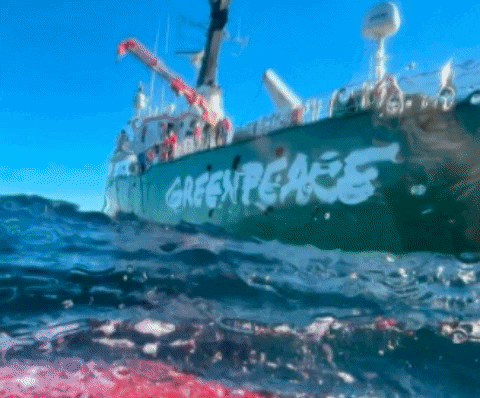 gparg giphygifmaker GIF