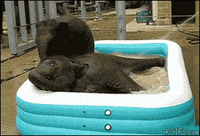 baby falls GIF