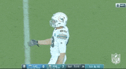 Regular Season Football GIF by NFL