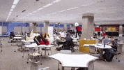 eastern-washington-university swoop ewu eastern washington university GIF