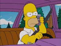 homer simpson GIF