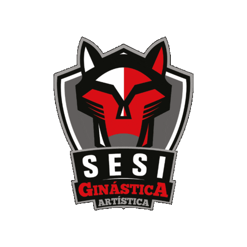 Sesisp Sticker by Sesi Esporte