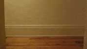 skateboarding GIF by Internet Cat Video Festival