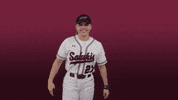 siusalukis siu salukis salukisoftball siusoftball GIF