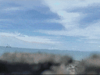 Footage Oaf GIF by jorgemariozuleta