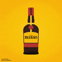 Party Festa GIF by Licor Beirão