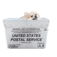 Post Office Mail Sticker by Munjo Munjo