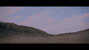 Explore Looking For GIF by flybymidnight