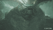 Video Game Smiling GIF by CAPCOM