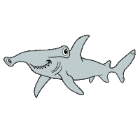 I Love You Kiss Sticker by Shark Week