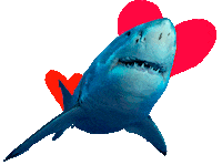 I Love You Hearts Sticker by Shark Week