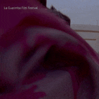 War Fighting GIF by La Guarimba Film Festival