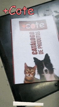 BassoPancotte cote maiscote gifmaiscote stickermaiscote GIF